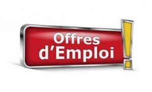 Offre D’emploi à Temps Complet Ou Partiel ! - Marketing - Hauts-de ...